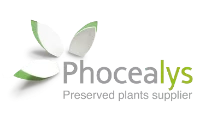 Phocealys