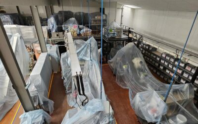 Nettoyage d’une usine de fabrication de savon